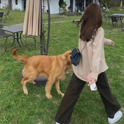 我找宾拉登海报