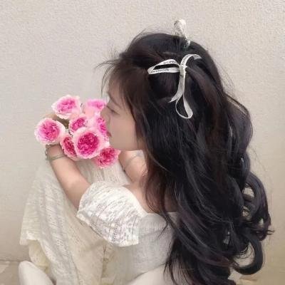 秘密指挥海报